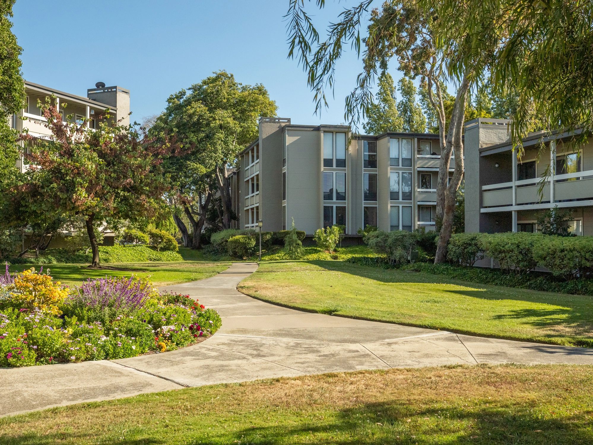 Modern apartment buildings with landscaped grounds